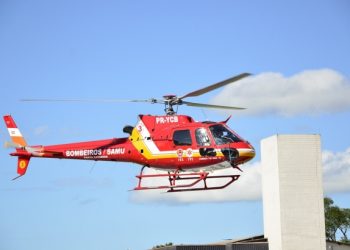 Criança é picada por cobra coral no interior de Nova Trento