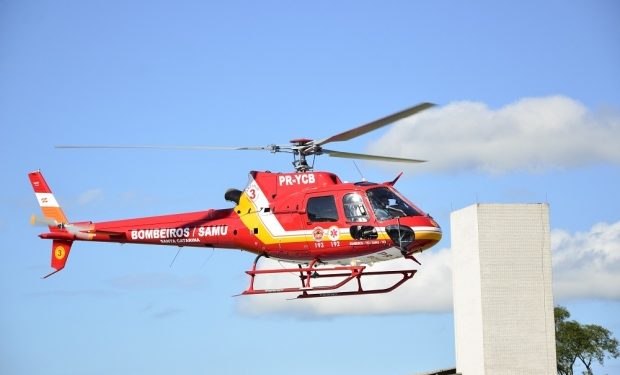 Criança é picada por cobra coral no interior de Nova Trento