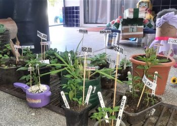 Projeto de creche municipal incentiva reutilização de materiais recicláveis