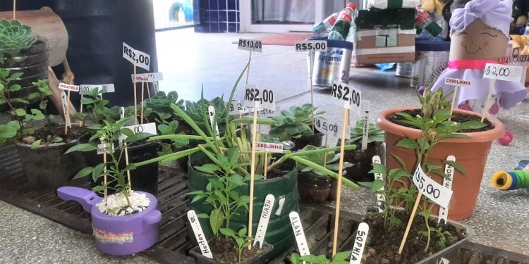 Projeto de creche municipal incentiva reutilização de materiais recicláveis