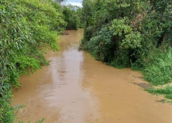 Deslizamento de terra atinge quatro casas, em Tijucas