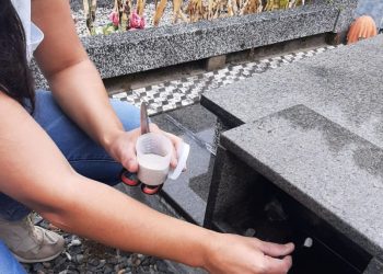 Dia Estadual de Mobilização contra o Aedes aegypti acontece neste sábado