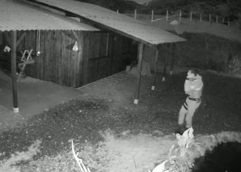 Mulher é brutalmente espancada a golpes de facão em Major Gercino