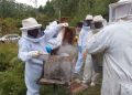 Apicultores e técnicos participam de curso em Nova Trento