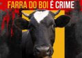 Operação Quaresma contra os maus-tratos de animais começa em Santa Catarina