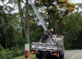 Aproximadamente 120 luminárias são trocadas por luzes LED na estrada geral do Morro da Cruz