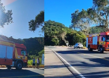 Homem morre após sair da pista e colidir contra árvore, em São João Batista