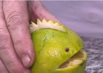 Cozinheira de creche encanta crianças com animais feitos de alimentos