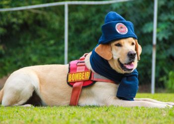 Corpo de Bombeiros Militar inicia Campanha do Agasalho 2023