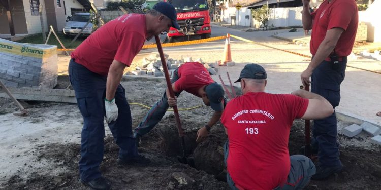 Cão e gato presos em tubulação são resgatados por equipes do Corpo de Bombeiros