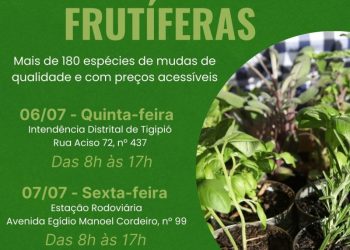 Tradicional feira de mudas frutíferas acontece nos dias 6 e 7 de julho em São João Batista