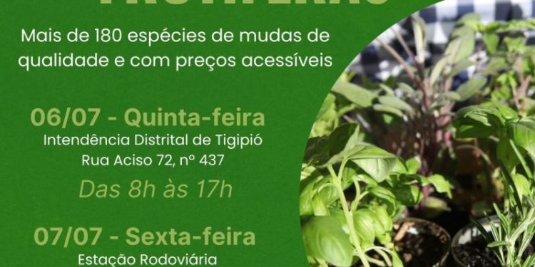 Tradicional feira de mudas frutíferas acontece nos dias 6 e 7 de julho em São João Batista