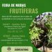 Tradicional feira de mudas frutíferas acontece nos dias 6 e 7 de julho em São João Batista