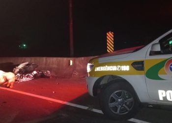 Motociclista e boi morrem após acidente em rodovia