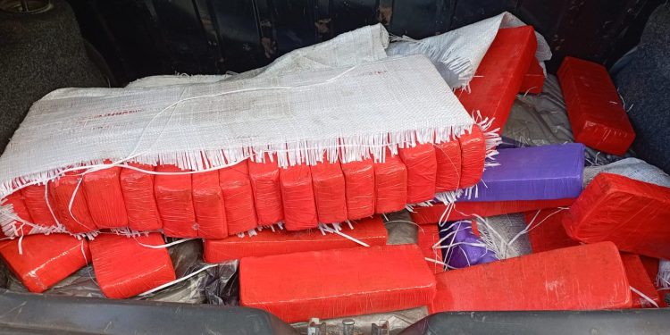 Motorista é preso com 94 quilos de maconha em São João Batista