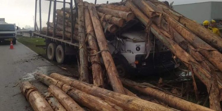 Homem morre esmagado por toras em acidente