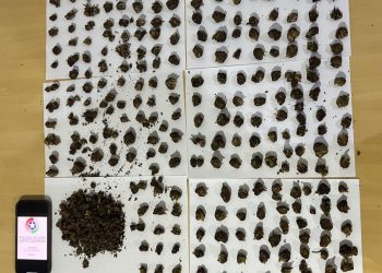 Homem é preso após tentar esconder drogas da Polícia Militar