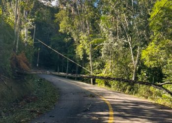 Após ventania, Celesc continua consertos na rede elétrica em Nova Trento