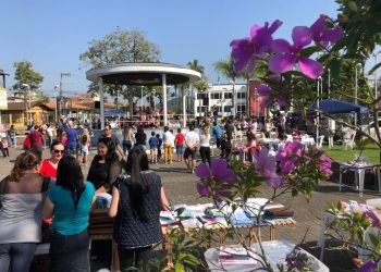 Neste sábado tem a feira Nossa Terra, Nossas Mãos na Praça da Prefeitura