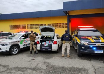 Ação conjunta PRF e PM apreende 200 quilos de maconha na BR-101