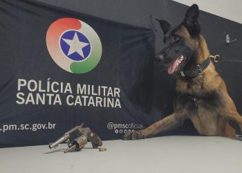 Cães da Polícia Militar encontram arma utilizada em tentativa de homicídio