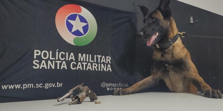 Cães da Polícia Militar encontram arma utilizada em tentativa de homicídio