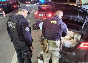 Ação conjunta PRF e Receita apreende 145 garrafas de vinhos argentinos na BR-101