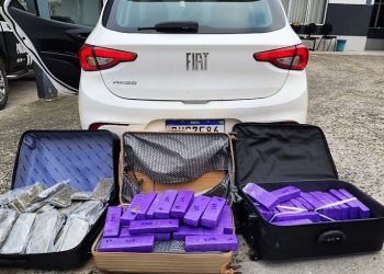 Mulher é presa com 108 kg de maconha na BR-101