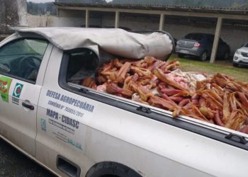 Operação conjunta resulta na apreensão de 860 quilos de carne clandestina, armas e munições