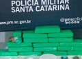Mais de 9 kg de maconha são apreendidos pela Policia Militar