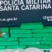 Mais de 9 kg de maconha são apreendidos pela Policia Militar