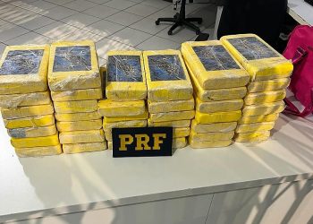 Mulheres são flagradas com carga milionária de cocaína na BR-282