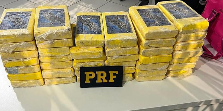 Mulheres são flagradas com carga milionária de cocaína na BR-282