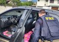 PRF localiza maconha em carro que fugiu de abordagem na BR-101