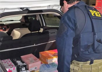 Pela terceira vez em menos de um mês, dupla é flagrada pela PRF transportando pássaros silvestres no mesmo veículo na BR-470