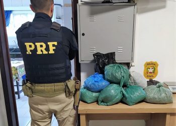 PRF localiza “supermaconha” dentro de malas de ônibus na BR101