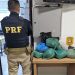 PRF localiza “supermaconha” dentro de malas de ônibus na BR101