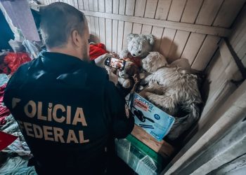 Operação da PF em Santa Catarina combate pornografia infantil pela internet