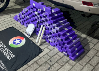 Mais de 85 kg de maconha são apreendidos em Florianópolis