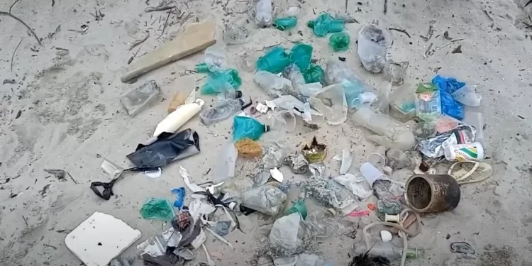 Esportista retira mais de dez toneladas de lixo do mar