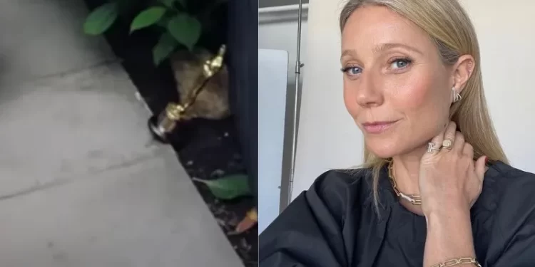 Atriz Gwyneth Paltrow diz que usa estatueta do Oscar como peso de porta