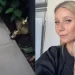 Atriz Gwyneth Paltrow diz que usa estatueta do Oscar como peso de porta