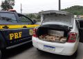 Homem tenta fugir mas é preso com mais de 200kg de maconha na BR-101 em Joinville