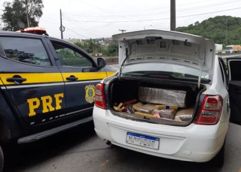 Homem tenta fugir mas é preso com mais de 200kg de maconha na BR-101 em Joinville