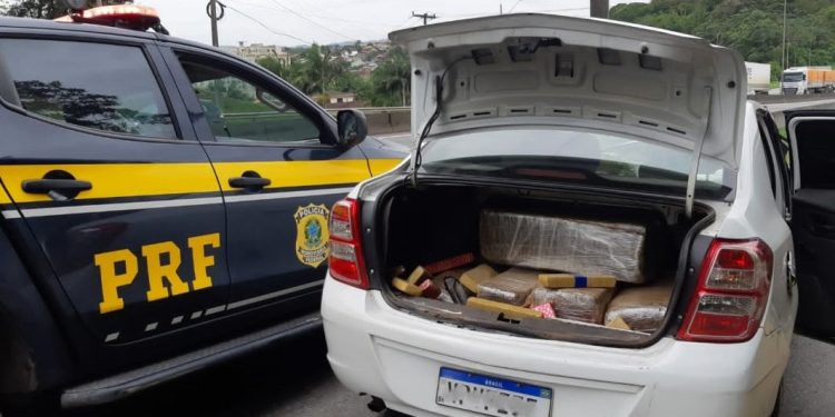 Homem tenta fugir mas é preso com mais de 200kg de maconha na BR-101 em Joinville