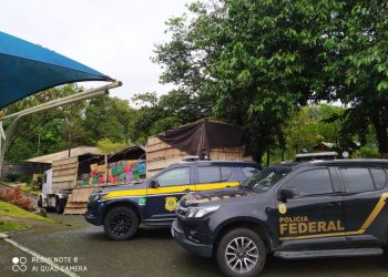 Ação conjunta PRF e PF faz a maior apreensão de maconha do ano em SC: cerca de sete toneladas na BR-101