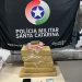 Homem é preso com drogas após acompanhamento em Canelinha