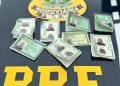 Estelionatário com oito identidades é preso pela PRF na BR-101