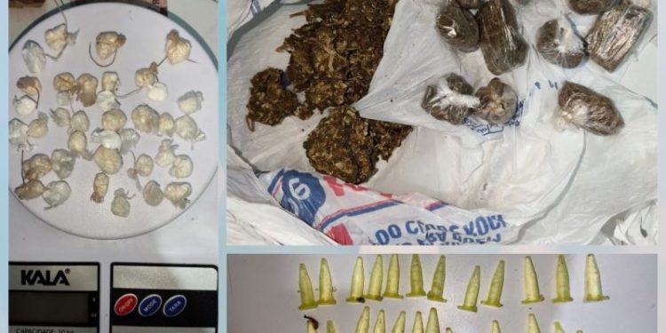 Após denúncias de tráfico Policia Militar de Tijucas prende suspeitos e encontra drogas