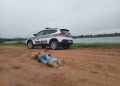 Policia Civil de Tijucas investiga homicídio após corpo encontrado parcialmente desfigurado e marcas de tiros